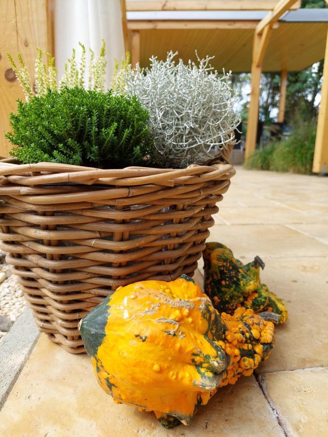 Villa Quality Wellness Dozmat Buitenkant foto