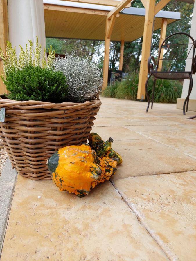 Villa Quality Wellness Dozmat Buitenkant foto